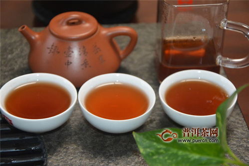 丹凤朝阳,自有别样 品饮2019年古德凤凰 凤凰印象紫印熟茶